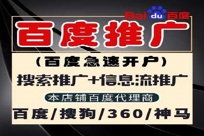 专业SEM代运营公司案例分享：品牌曝光秘诀
